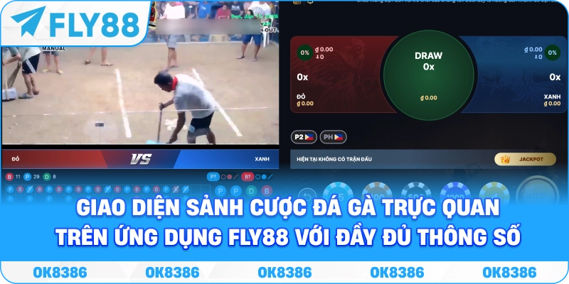Giao diện sảnh đá gà FLY88 với thông tin trận đấu và tỷ lệ trực tuyến