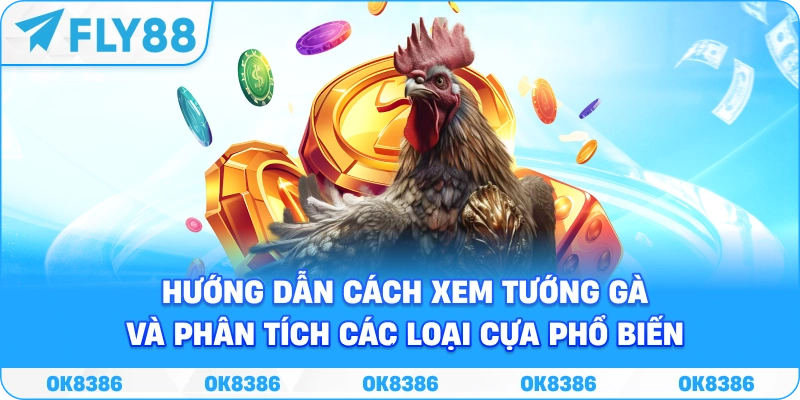 Hướng dẫn theo dõi thông tin chiến kê và loại hình đá gà tại FLY88